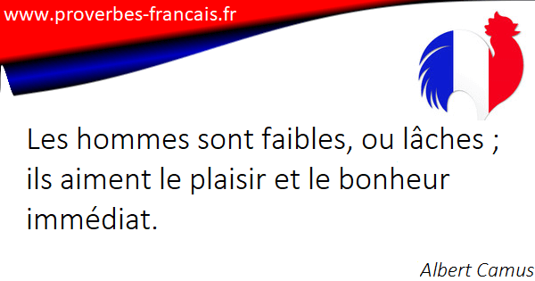 Les Proverbes Et Citations De Albert Camus