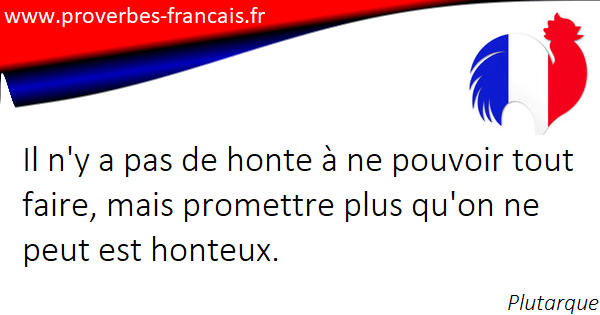 Les Proverbes Et Citations De Plutarque