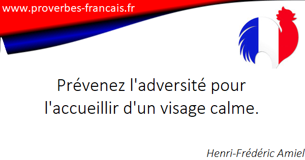 Les Citations Sur Adversite