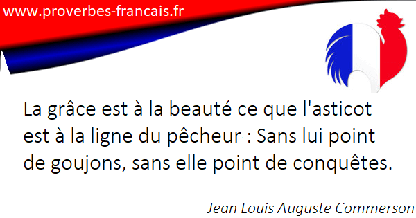 Les Citations Et Aphorismes Sur Beaute