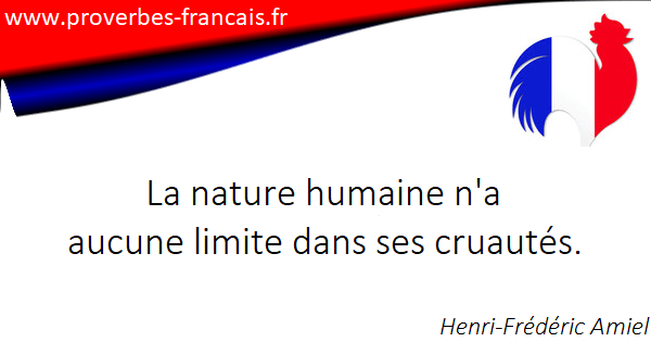 Citation Cruaute 23 Citations Sur Cruaute