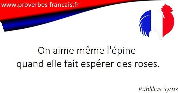 Citations Epines 23 Citations Sur Epines