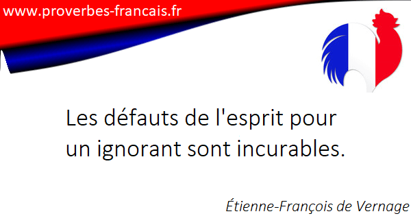 Citation Ignorant 37 Citations Sur Ignorant