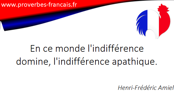 Les Citations Sur Indifference