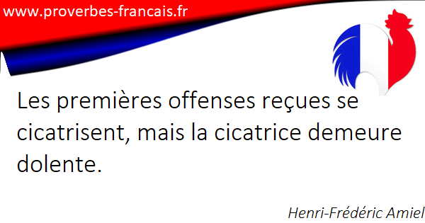 Citations Offense 28 Citations Sur Offense