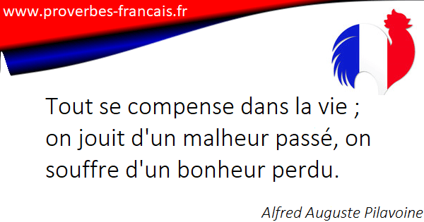 Les Citations Et Aphorismes Sur Perdu