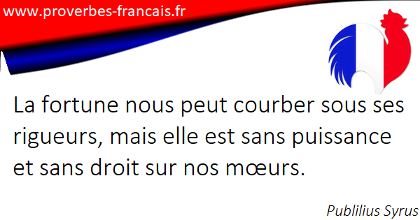 Citations Rigueur 15 Citations Sur Rigueur