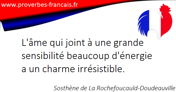 Les Citations Et Aphorismes Sur Sensibilite