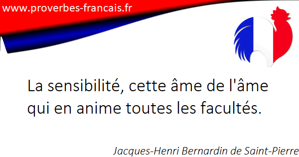 Citation Sensibilite 47 Citations Sur Sensibilite