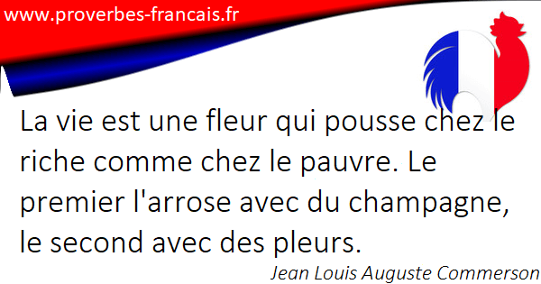 Les Citations Et Aphorismes Sur Vie