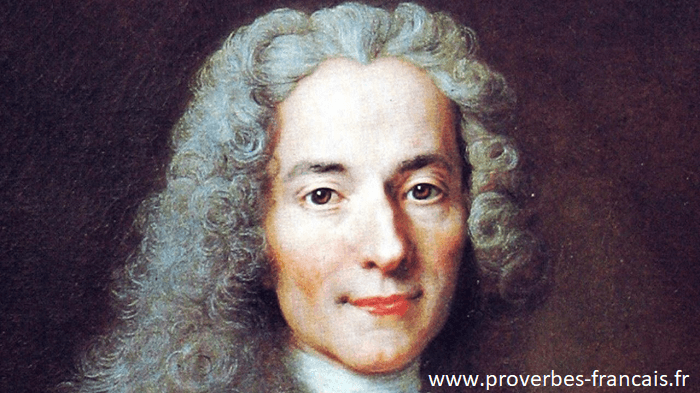 Voltaire Ses 124 Citations